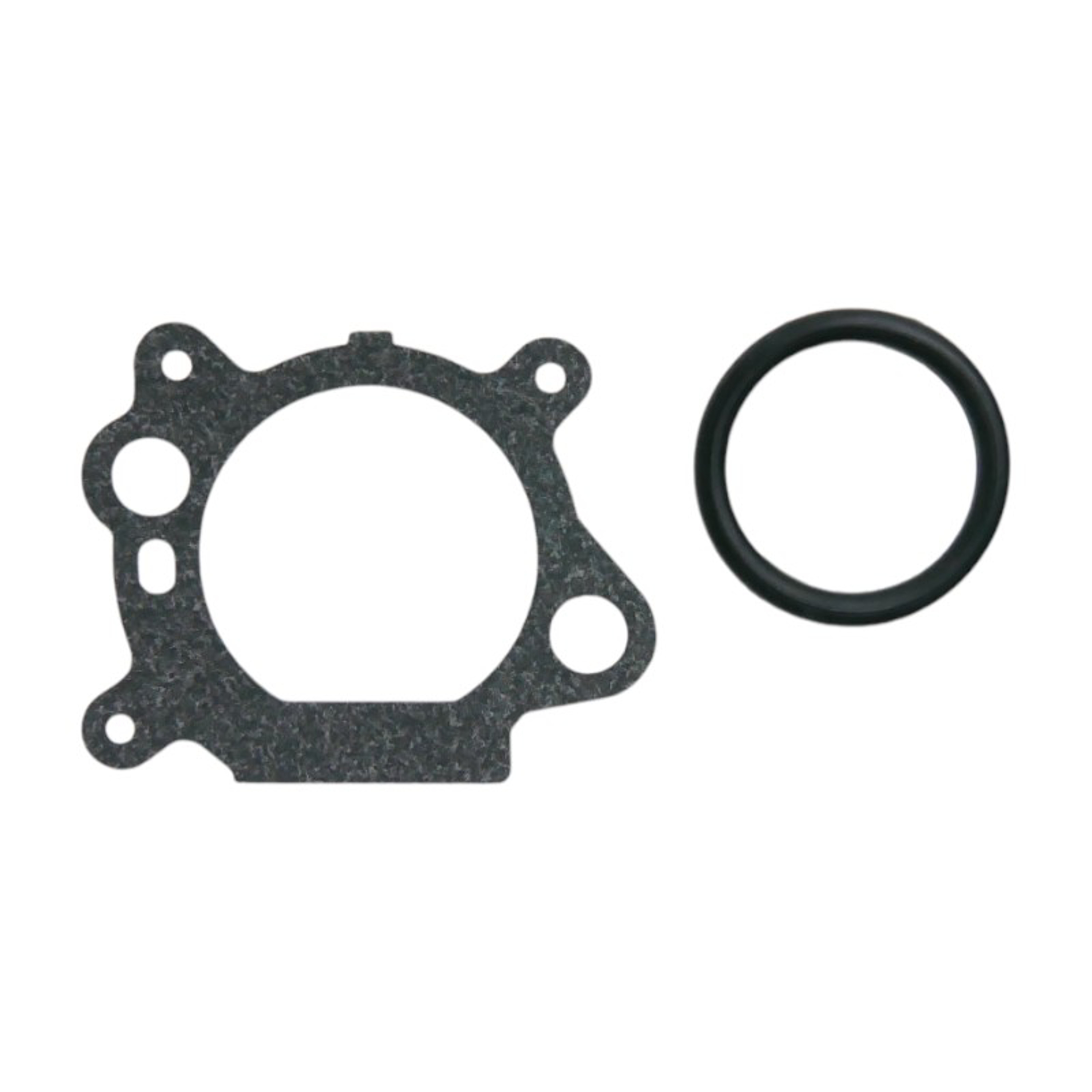 Karburátor pro motory Briggs & Stratton (OEM 799868 14111 497586 498170 498254 497314 497347 694202 693909 692648 799872 790821 498255)