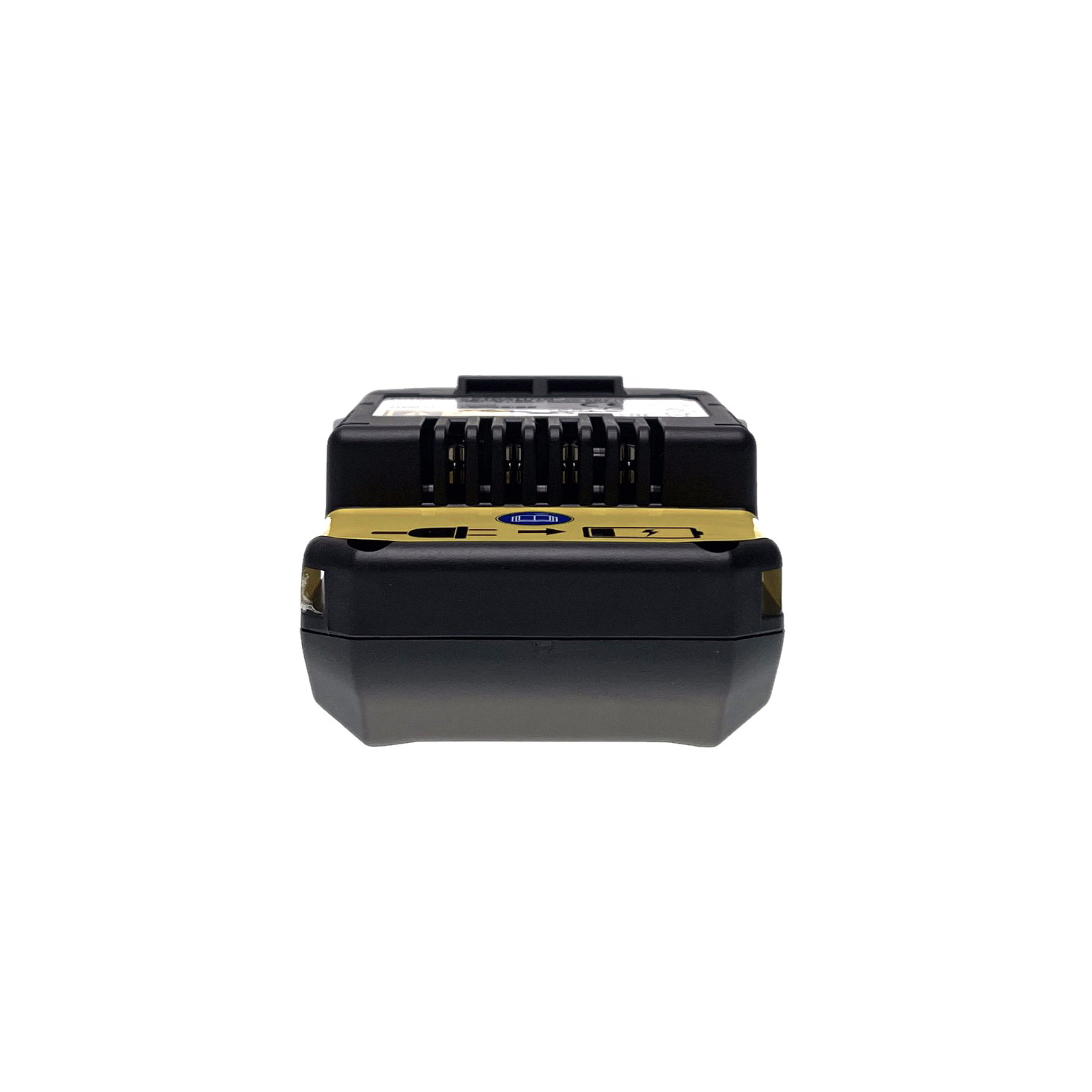Baterie LITHIUM - ION s nabíječkou pro motory Briggs & Stratton originální díl (OEM 597189 593562)