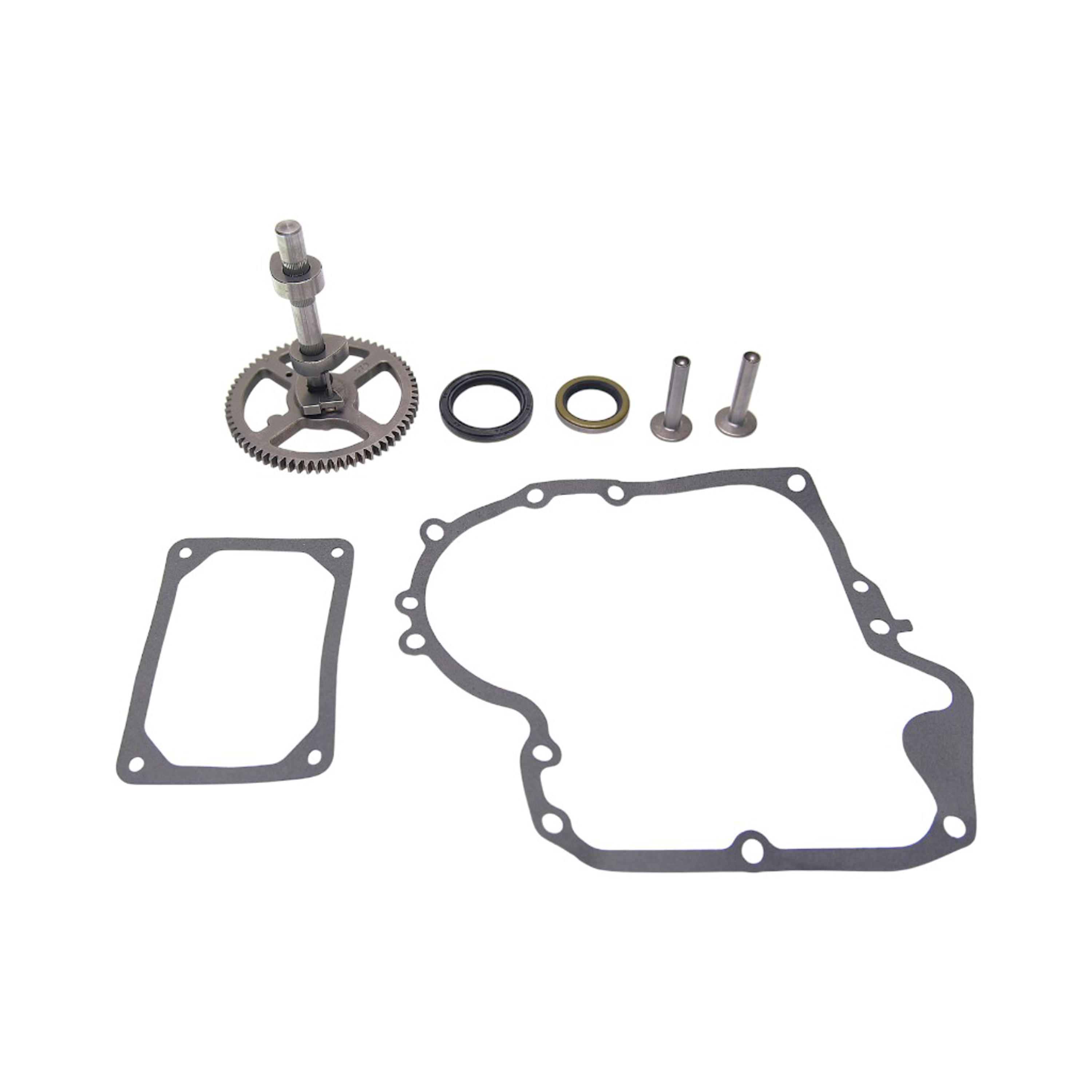 Kompletní vačková hřídel pro motory Briggs & Stratton (OEM 494433 692421)