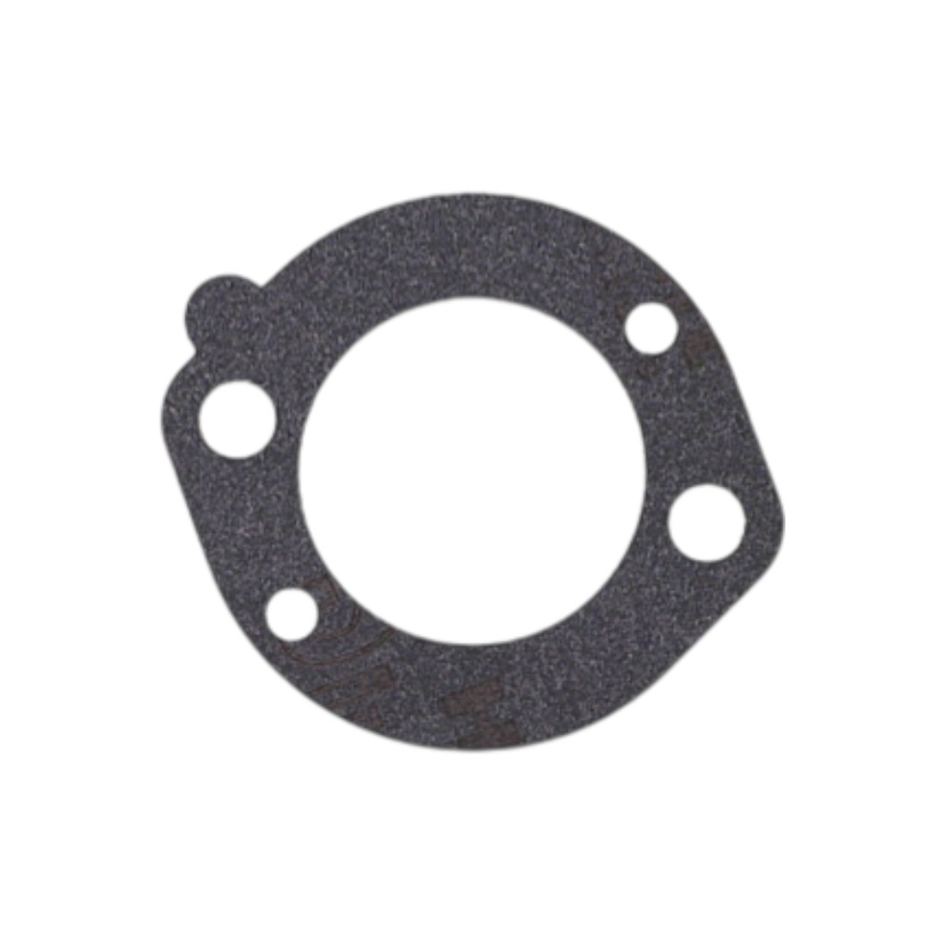 Karburátor pro motory Briggs & Stratton (OEM 591925 698479 698475 693518)