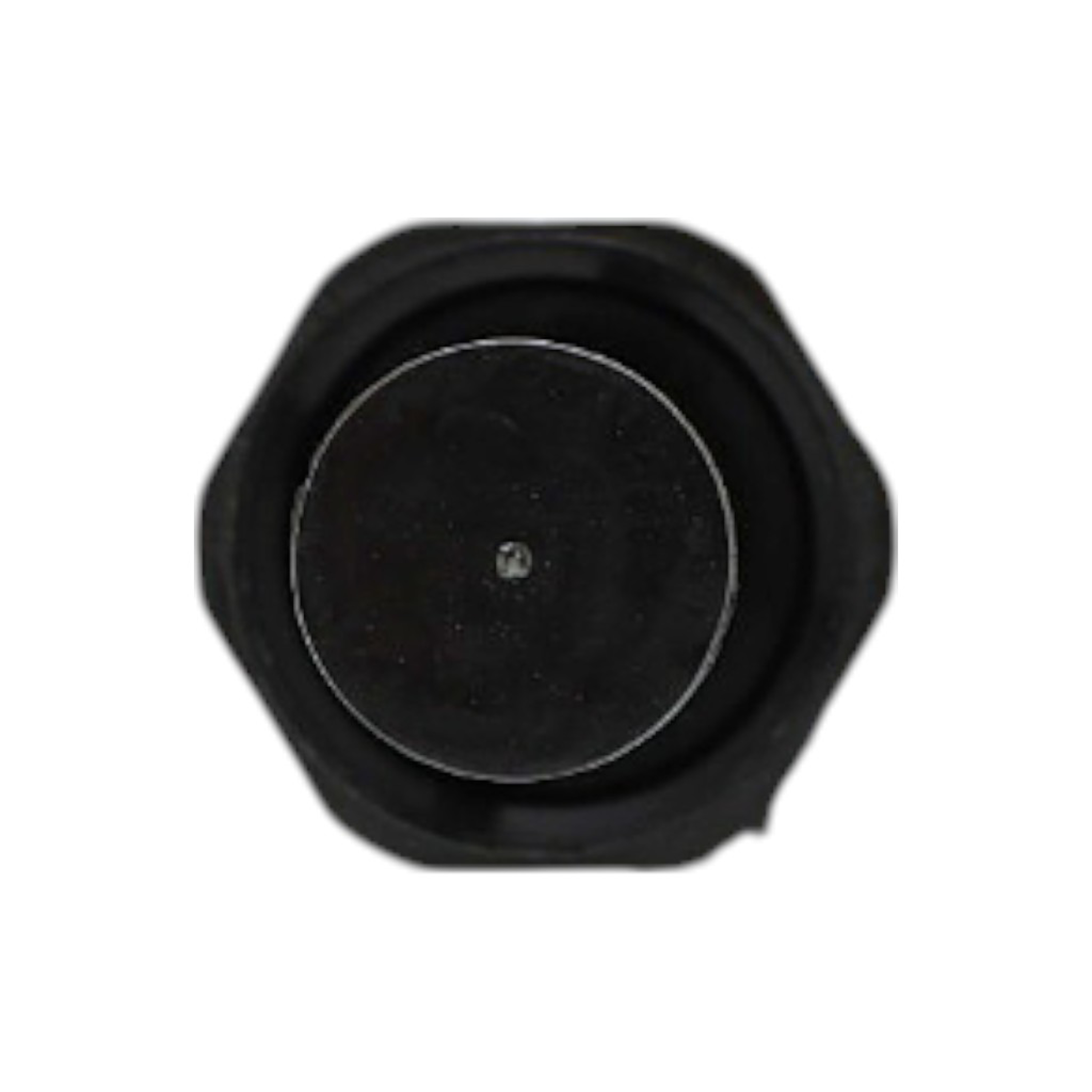 Palivový filtr pro motory Wacker Neuson BS50-2 BS50-2i BS50-4As BS50-4s BS60-2 BS60-2i BS60-4As BS60-4s BS65-V BS70 BS70-2i BS500 BS500-oi BS600 BS650 BS700 BS700 (OEM 0155079)